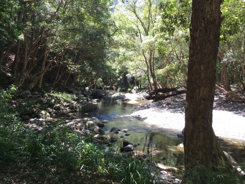 48 John Locke Place, Gleniffer NSW 2454