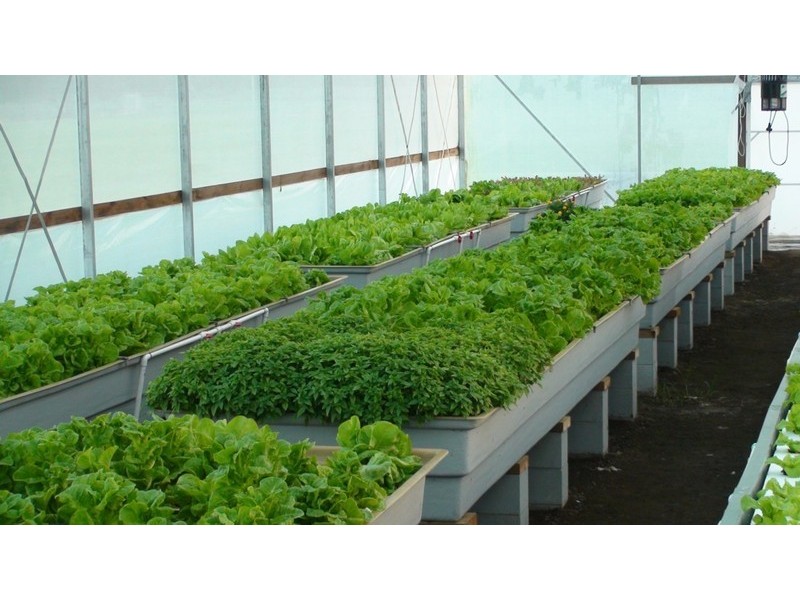 71 Nerreman Road, Wivenhoe Pocket QLD 4306