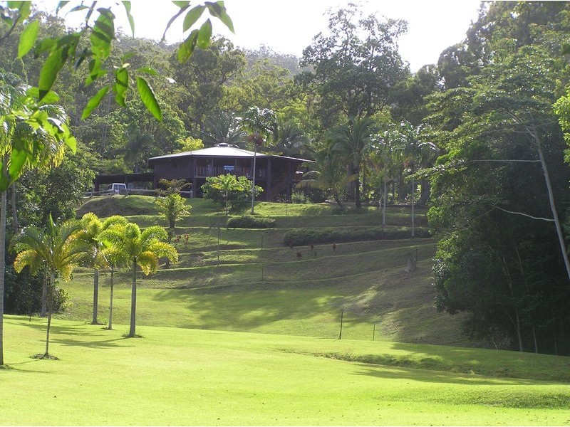 313 (Lot 5) Bloodwood Road, Bloomfield QLD 4895