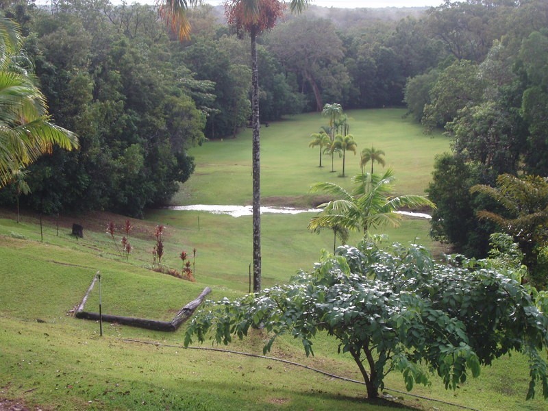 313 (Lot 5) Bloodwood Road, Bloomfield QLD 4895