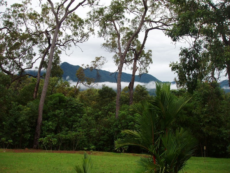 313 (Lot 5) Bloodwood Road, Bloomfield QLD 4895