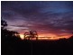 313 (Lot 5) Bloodwood Road, Bloomfield QLD 4895