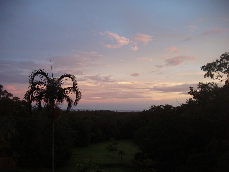 313 (Lot 5) Bloodwood Road, Bloomfield QLD 4895
