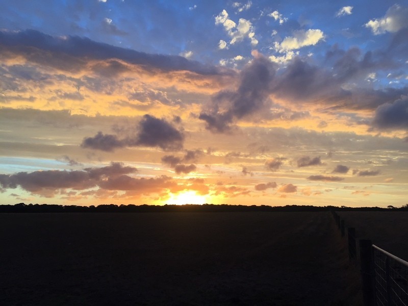 French Island VIC 3921