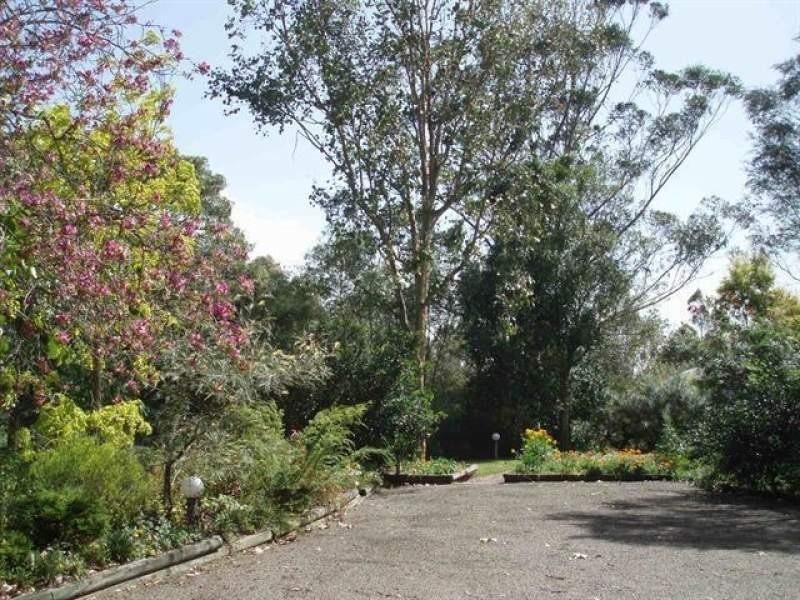 48 Riverview Road, Bolwarra Heights NSW 2320