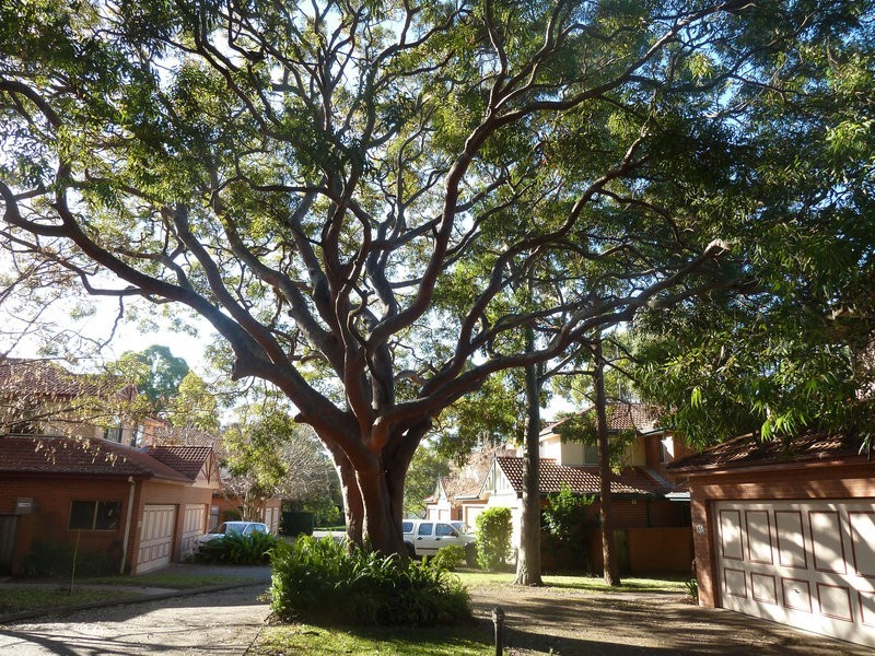 13A Bruzzano Place, Cromer NSW 2099