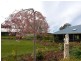Lower Longley TAS 7109