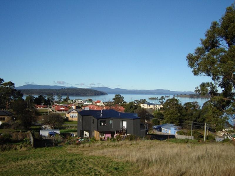 1 Chapel Lane, Dover TAS 7117