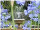 62 Bakker Drive,, Bonville NSW 2441
