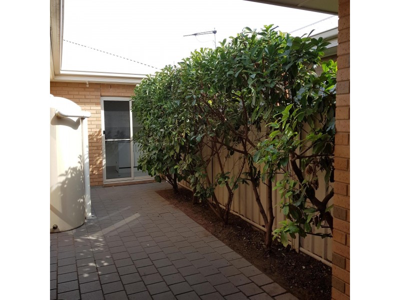 52 Russ Avenue, Seaton SA 5023