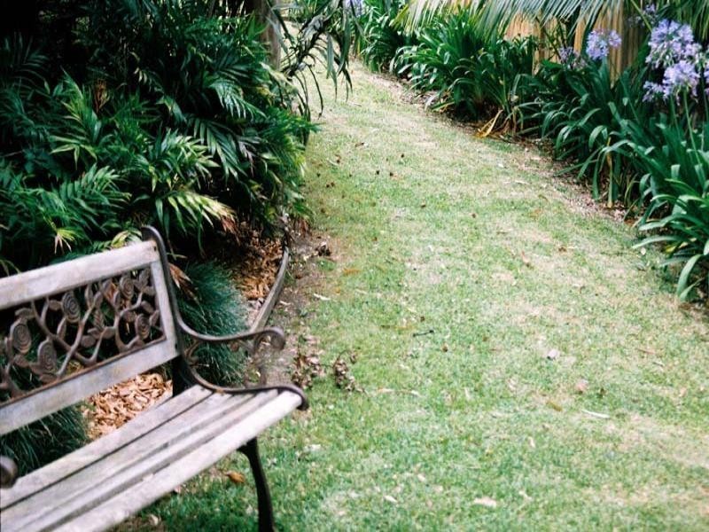 81 Old Gosford Road, Wamberal NSW 2260
