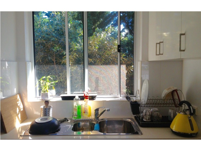 5/9 Roscoe Street, Bondi Beach NSW 2026