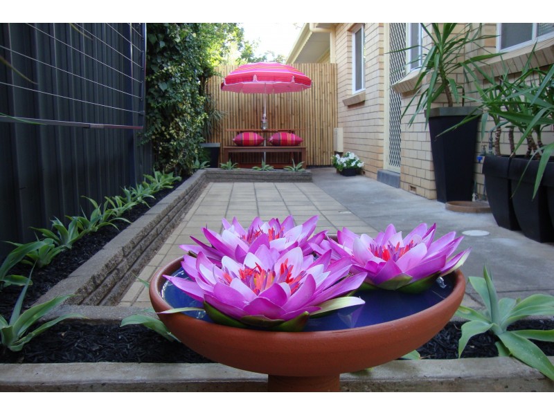 7/24 Clifton Street, Hawthorn SA 5062