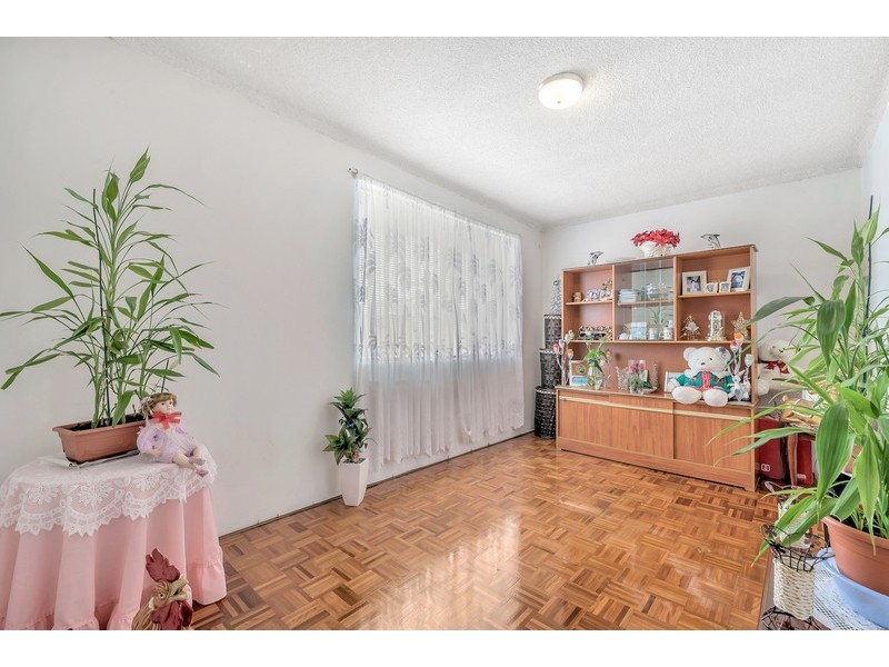 3 Huber Avenue, Cabramatta NSW 2166