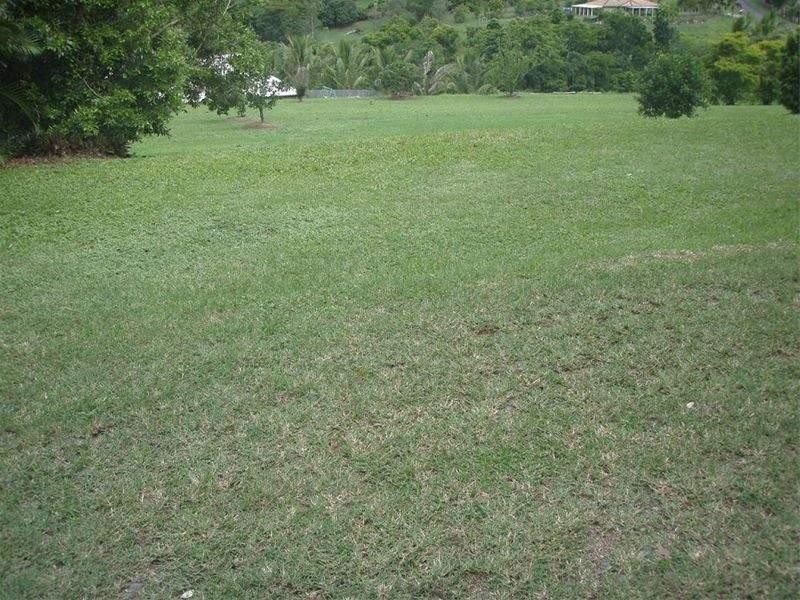 21-23 Costain St, Goldsborough QLD 4865