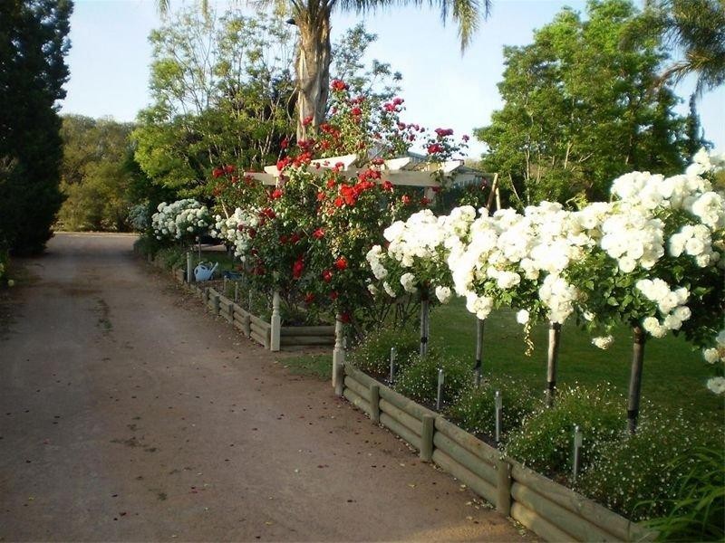 Lot 4 Bookmark Ave, Renmark SA 5341