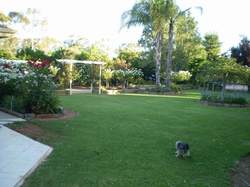 Lot 4 Bookmark Ave, Renmark SA 5341