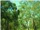 10 Centre Road, Raymond Island VIC 3880