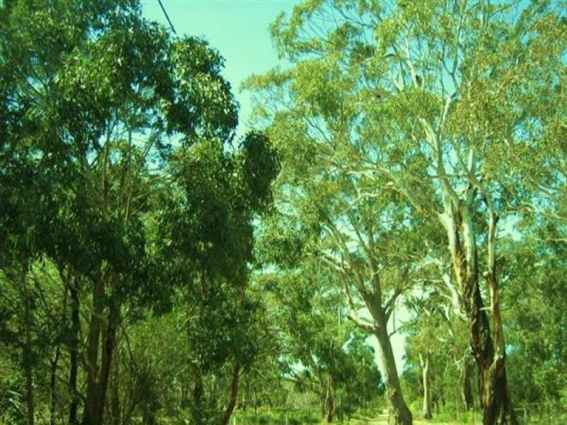 10 Centre Road, Raymond Island VIC 3880