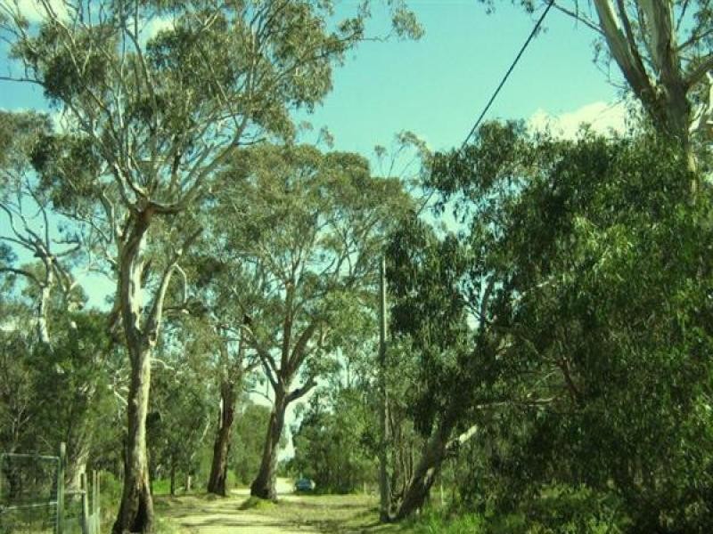 10 Centre Road, Raymond Island VIC 3880