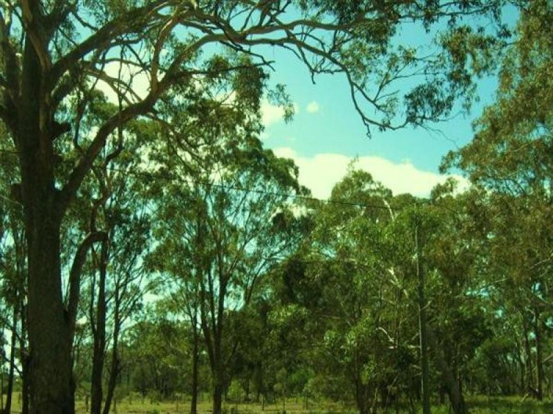 10 Centre Road, Raymond Island VIC 3880