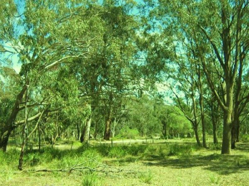 10 Centre Road, Raymond Island VIC 3880