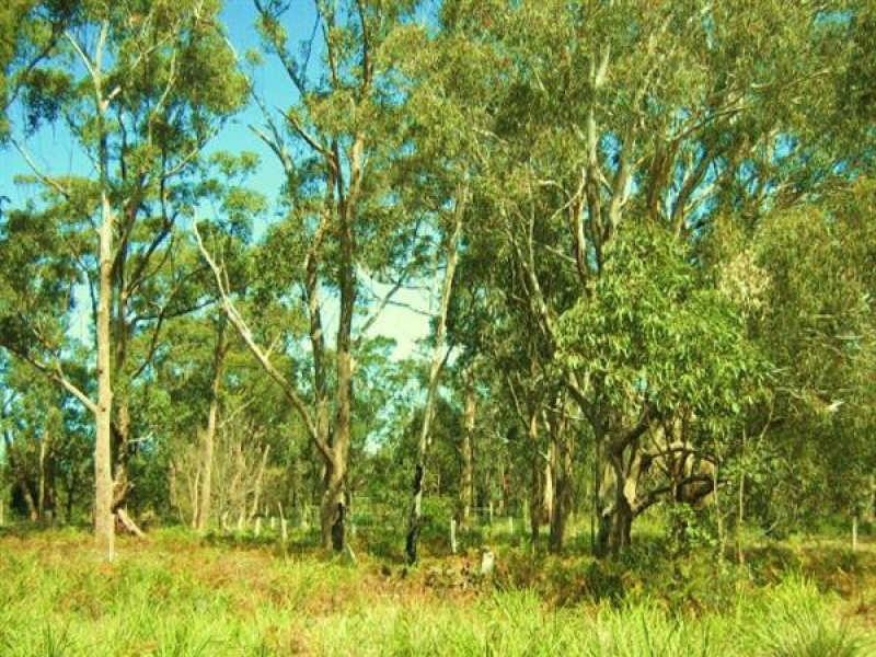 10 Centre Road, Raymond Island VIC 3880