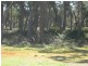 10 Centre Road, Raymond Island VIC 3880