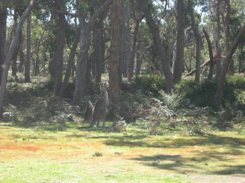 10 Centre Road, Raymond Island VIC 3880