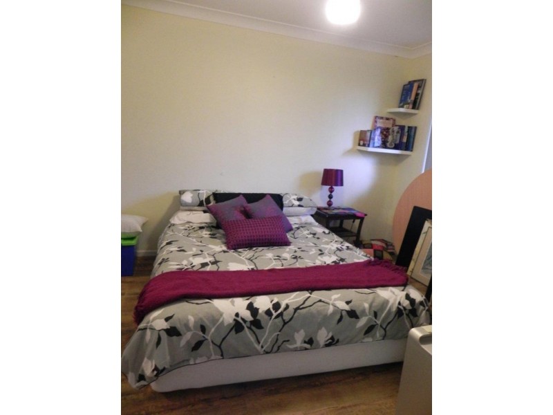 24 ILUKA Ave, Buddina QLD 4575