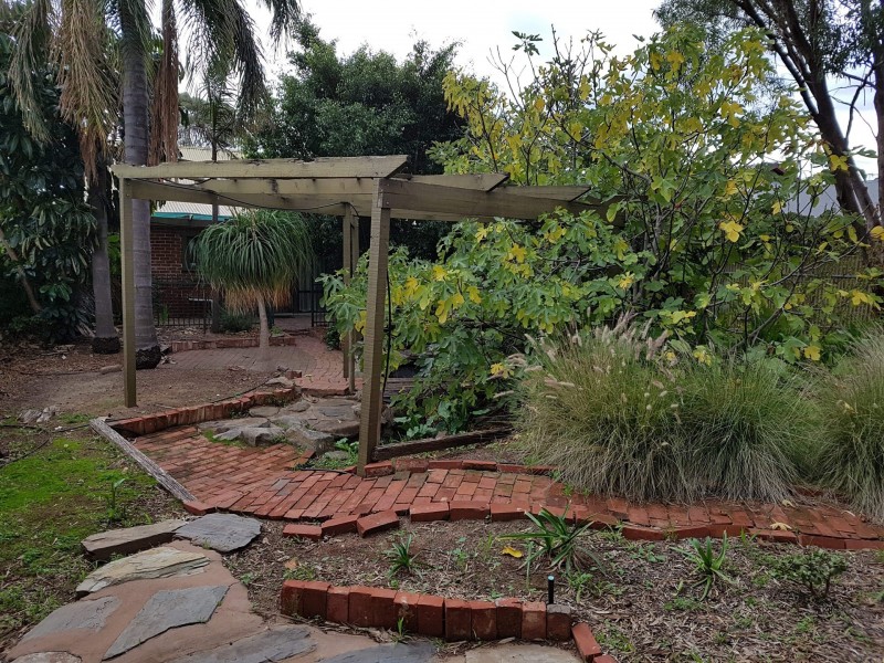 7 Crozier Avenue, Daw Park SA 5041