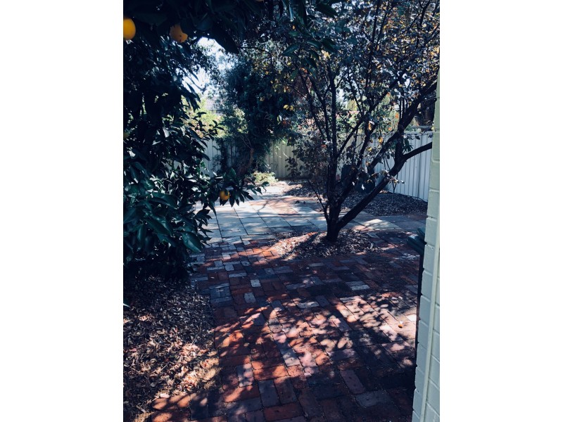 3 McCallum Crescent, Ardross WA 6153