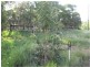 73 Edinburgh Drive, Mount Hallen QLD 4312