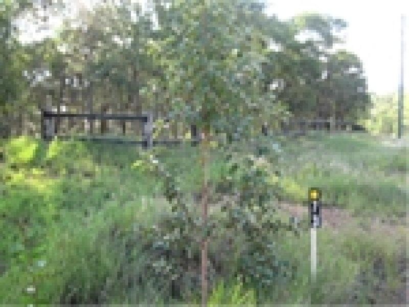 73 Edinburgh Drive, Mount Hallen QLD 4312