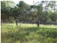 73 Edinburgh Drive, Mount Hallen QLD 4312