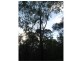 73 Edinburgh Drive, Mount Hallen QLD 4312