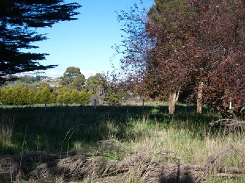 298 Mount Street, Burnie TAS 7320