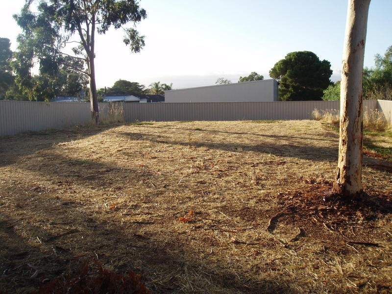 49 Jane Street, Willaston SA 5118