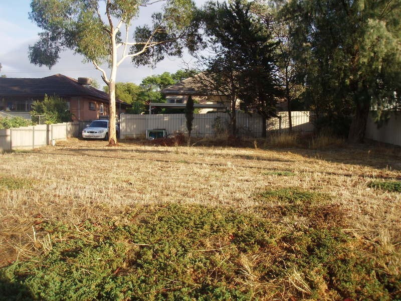 49 Jane Street, Willaston SA 5118