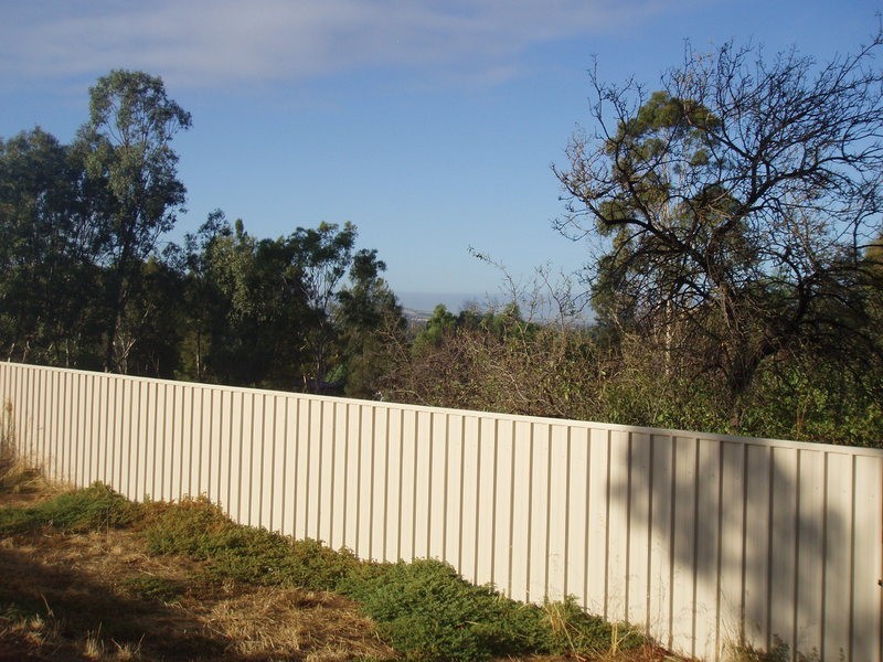 49 Jane Street, Willaston SA 5118