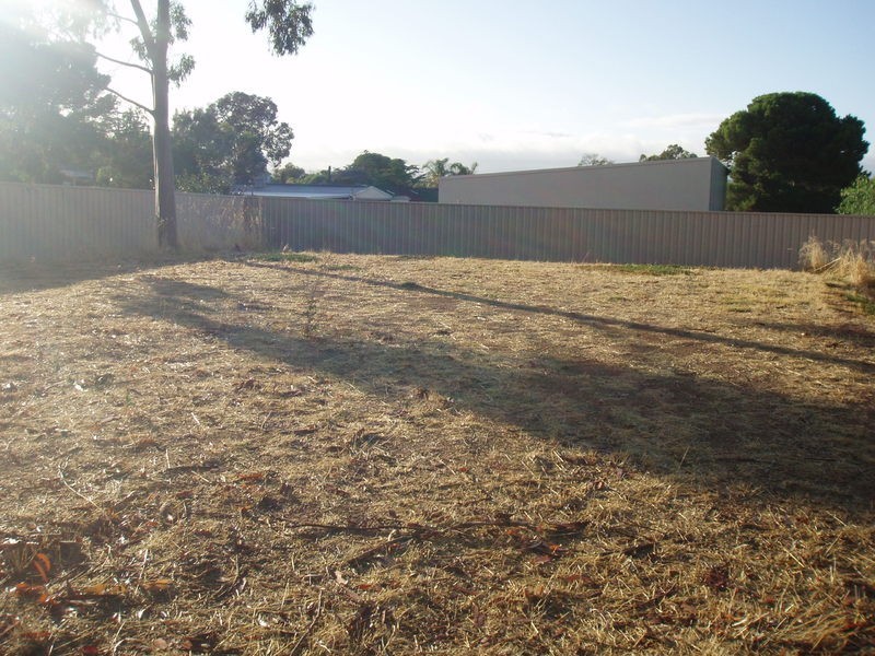 49 Jane Street, Willaston SA 5118