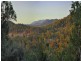 Lot 11 Hancock Road, Alligator Creek QLD 4816