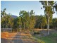 Lot 11 Hancock Road, Alligator Creek QLD 4816