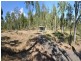 Lot 11 Hancock Road, Alligator Creek QLD 4816