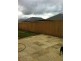 10 bittern way, Beechboro WA 6063