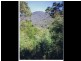 Lot 687 Goughs Road, Yowrie NSW 2550