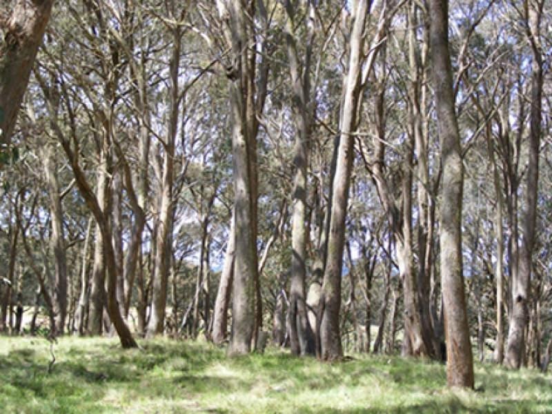 576 Shooters Hill Road, Oberon NSW 2787