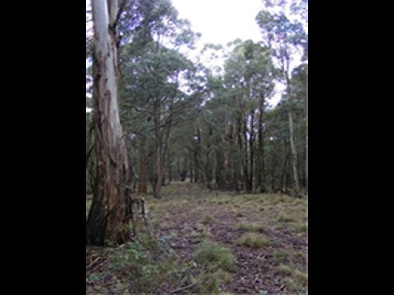 576 Shooters Hill Road, Oberon NSW 2787