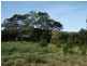 4 Cootamundra Court, Dodges Ferry TAS 7173