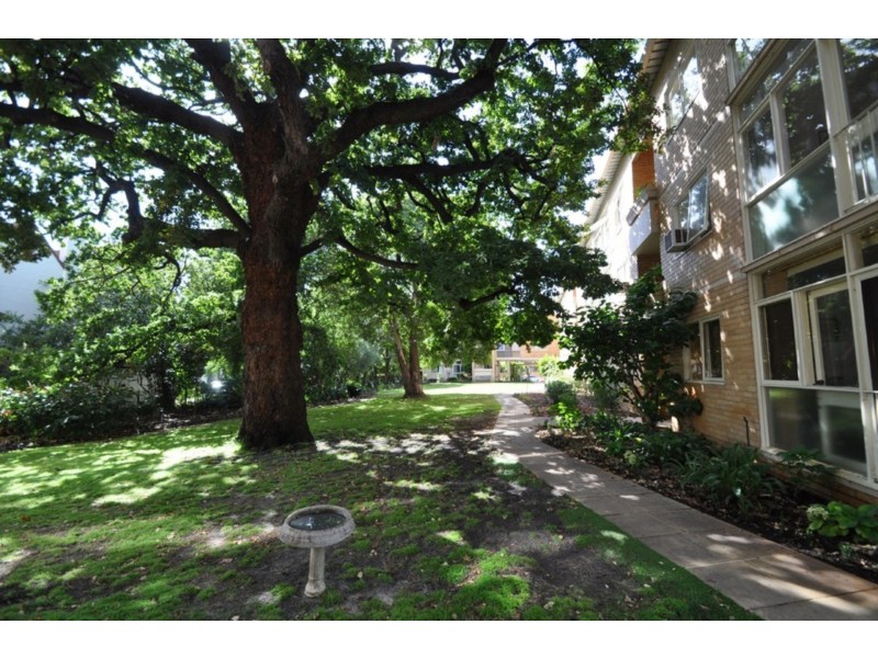 61 Kooyong Road, Armadale VIC 3143